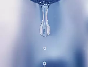 նկար