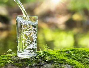 նկար