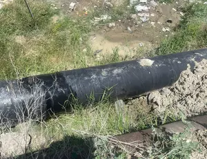 եոեռ