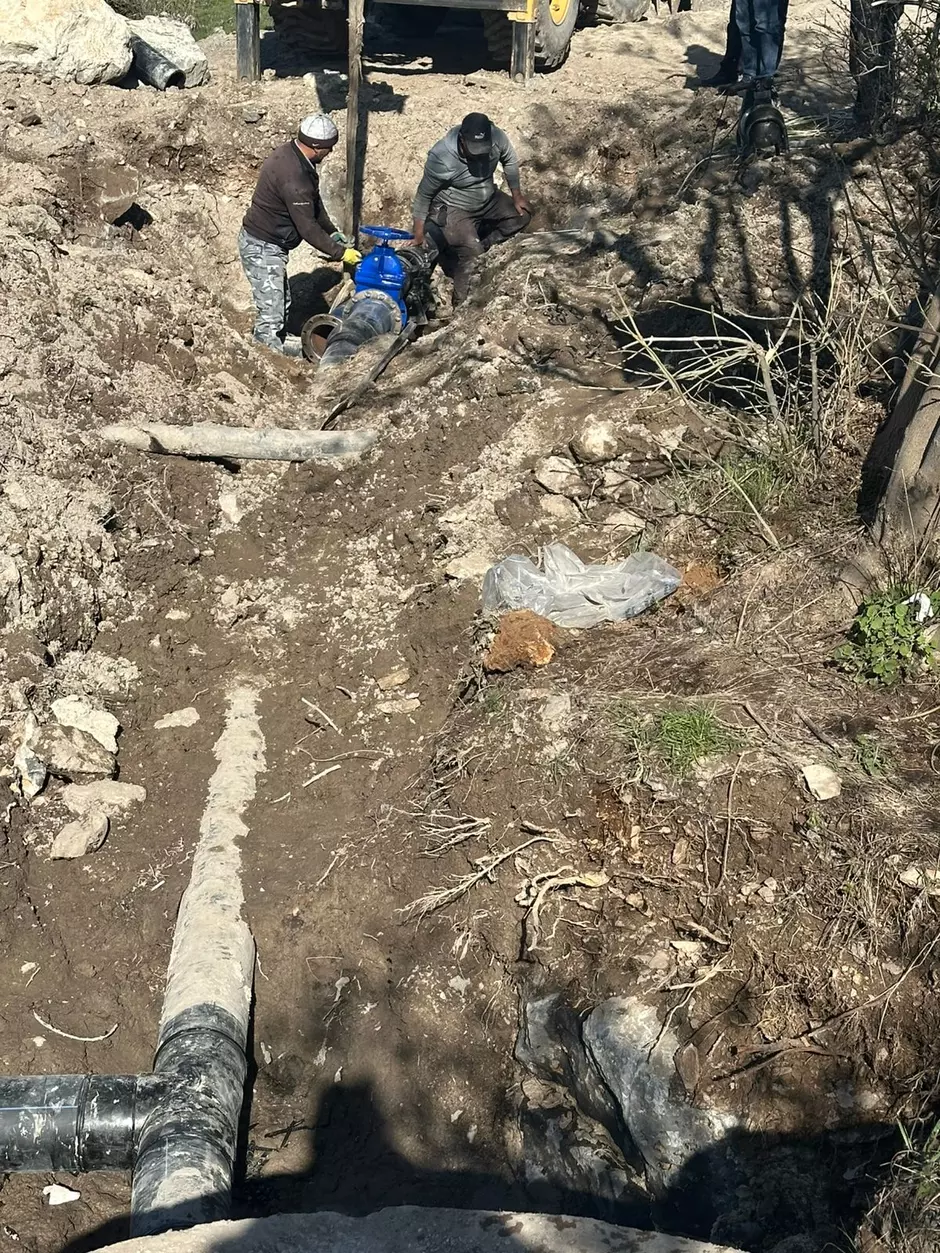 տգռետգեռտգ