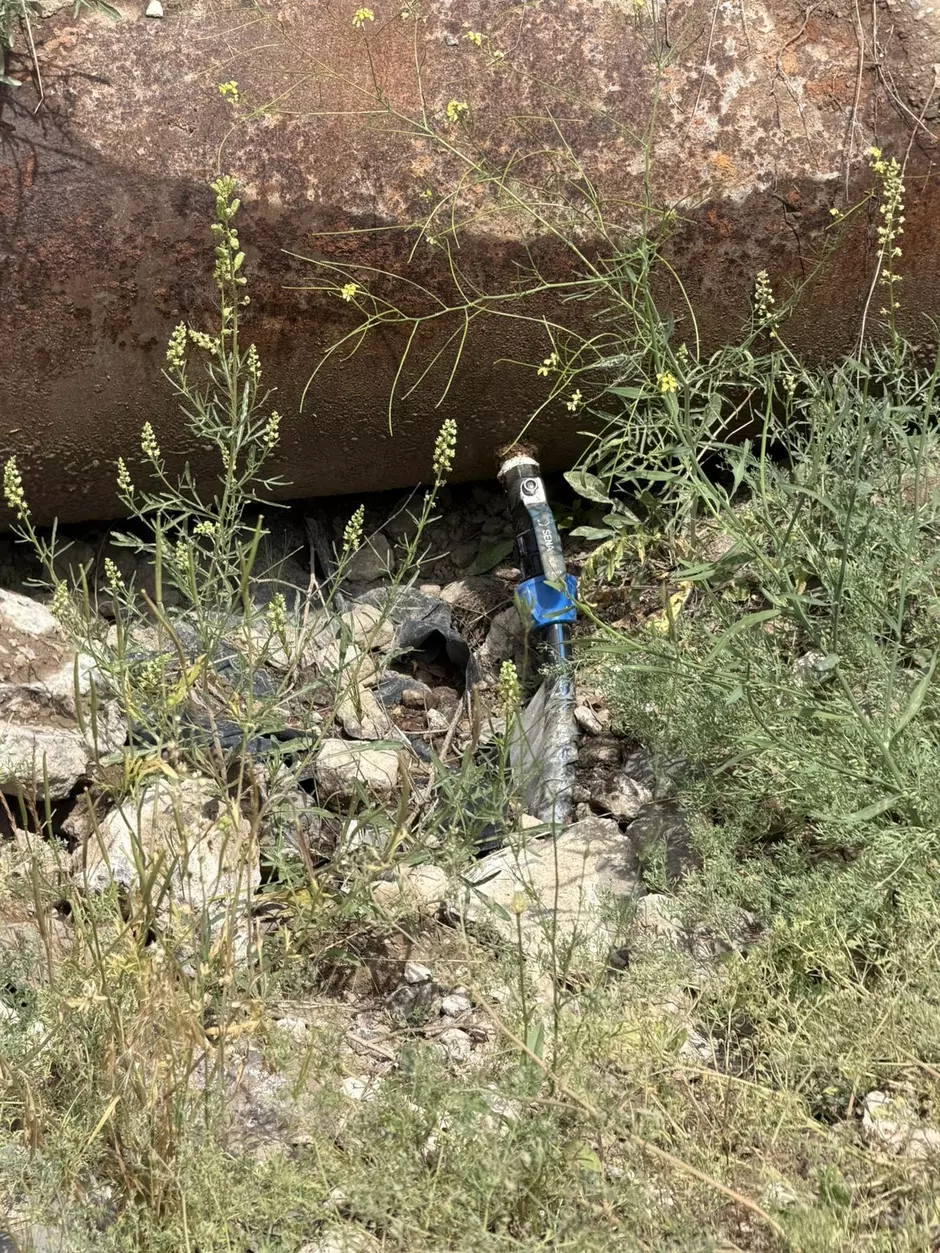 ւըյըօլ