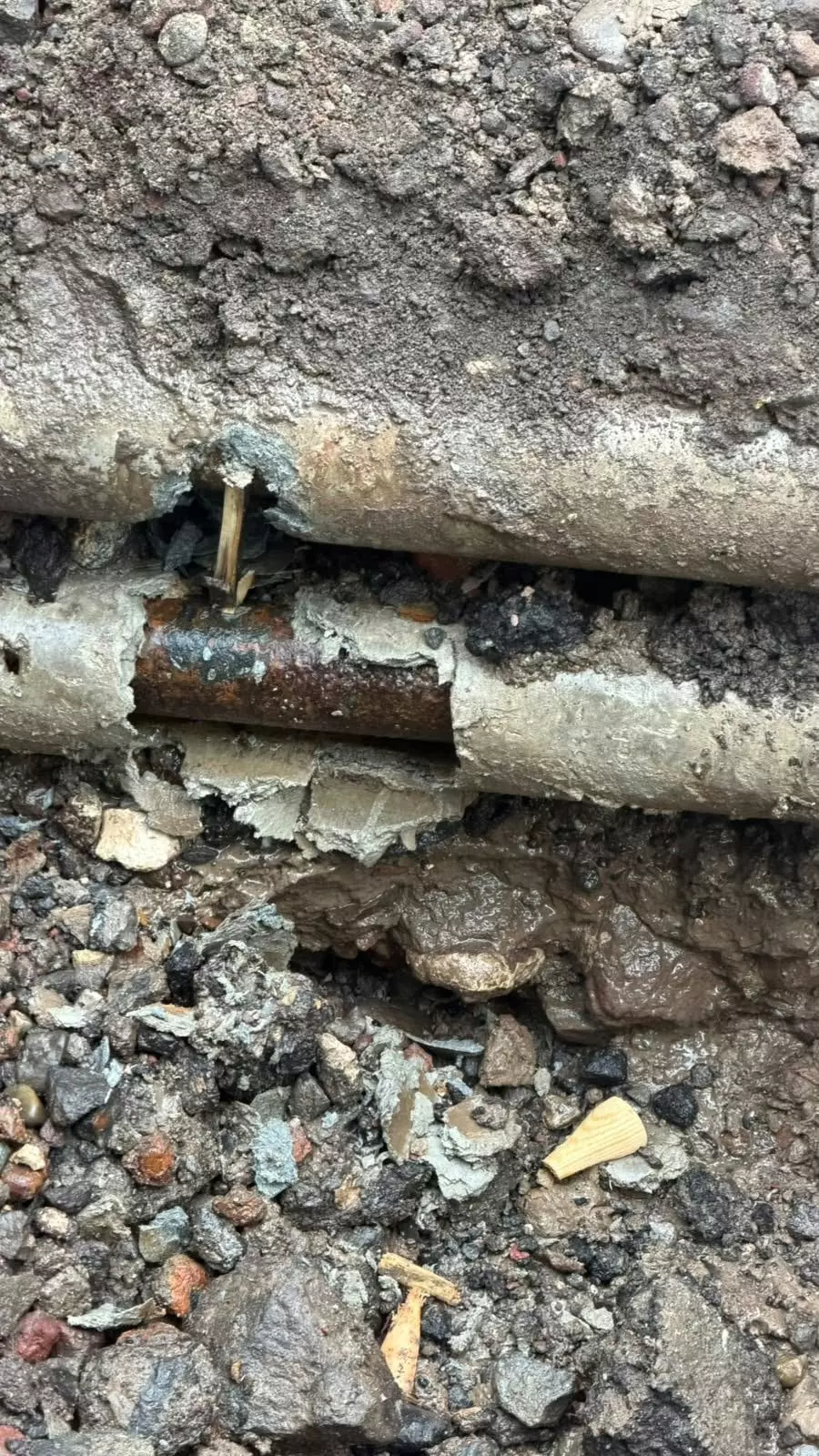 ռտւտ