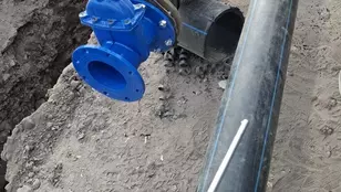 իօլիւօւիօլ