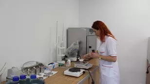 ւիկւի